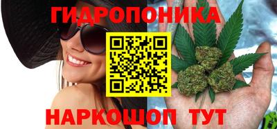 трава Севастополь