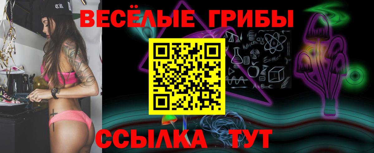 Псилоцибиновые грибы GOLDEN TEACHER Волхов