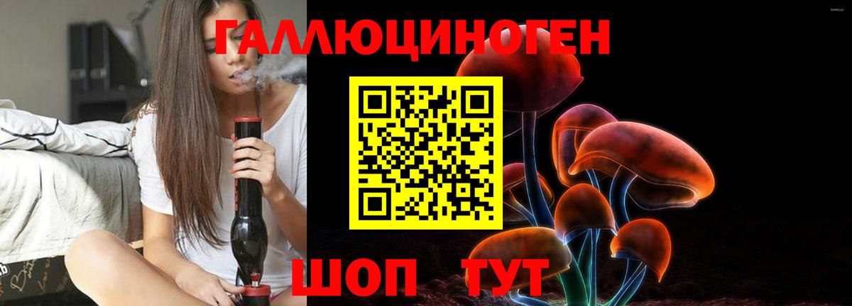 Волхов  Галлюциногенные грибы GOLDEN TEACHER  Вход с VPN 
